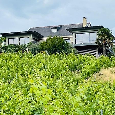Maison Des Coteaux Blancs Chaudefonds-sur-Layon エクステリア 写真