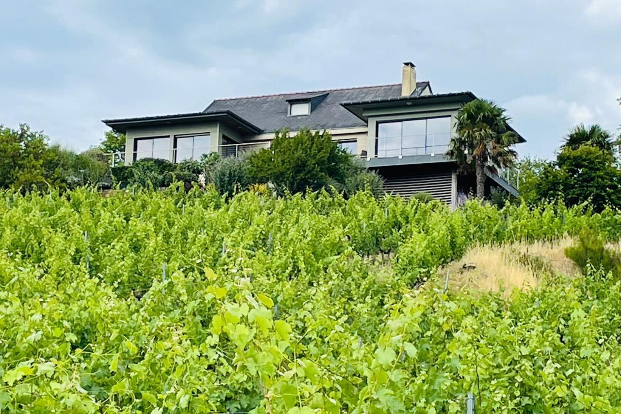 Maison Des Coteaux Blancs Chaudefonds-sur-Layon エクステリア 写真