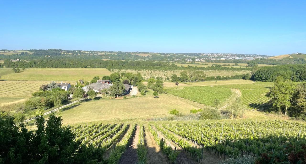 Maison Des Coteaux Blancs Chaudefonds-sur-Layon エクステリア 写真