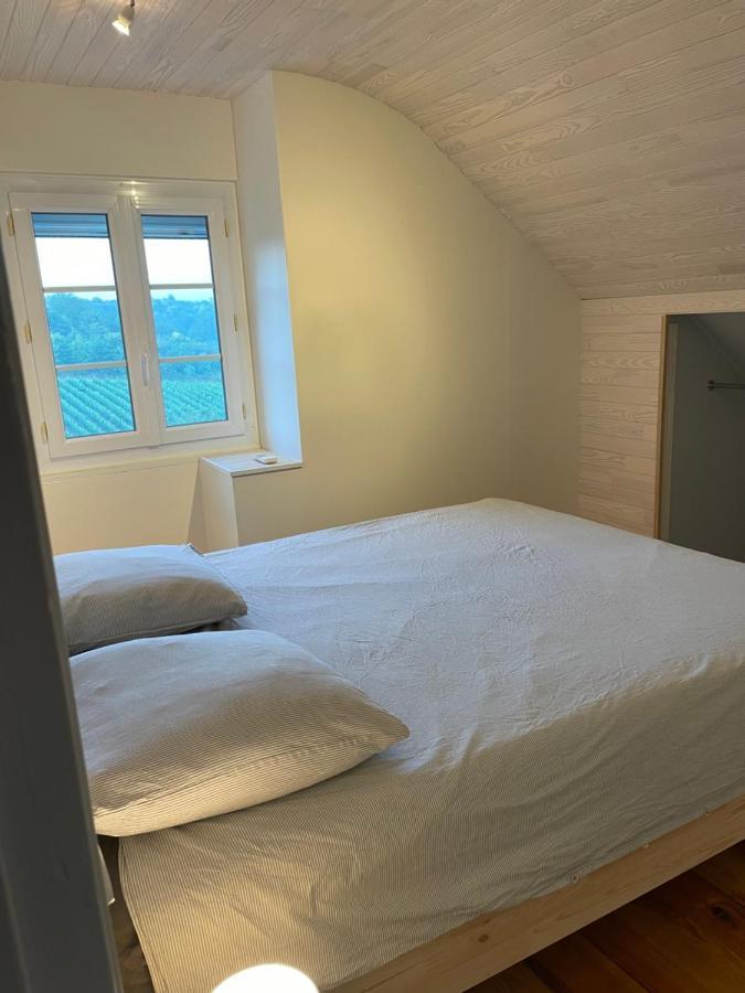 Maison Des Coteaux Blancs Chaudefonds-sur-Layon エクステリア 写真