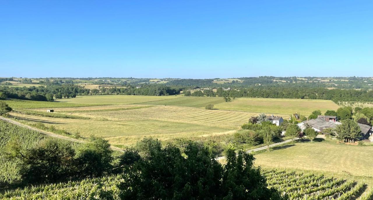 Maison Des Coteaux Blancs Chaudefonds-sur-Layon エクステリア 写真