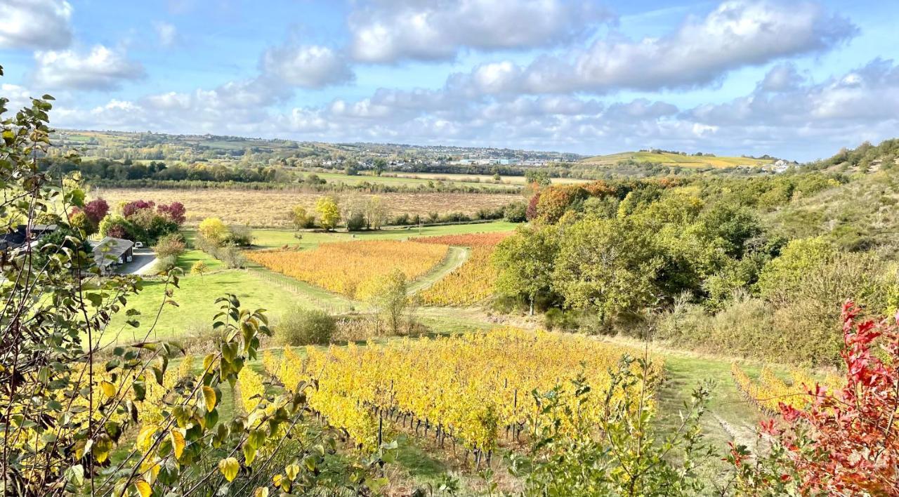 Maison Des Coteaux Blancs Chaudefonds-sur-Layon エクステリア 写真