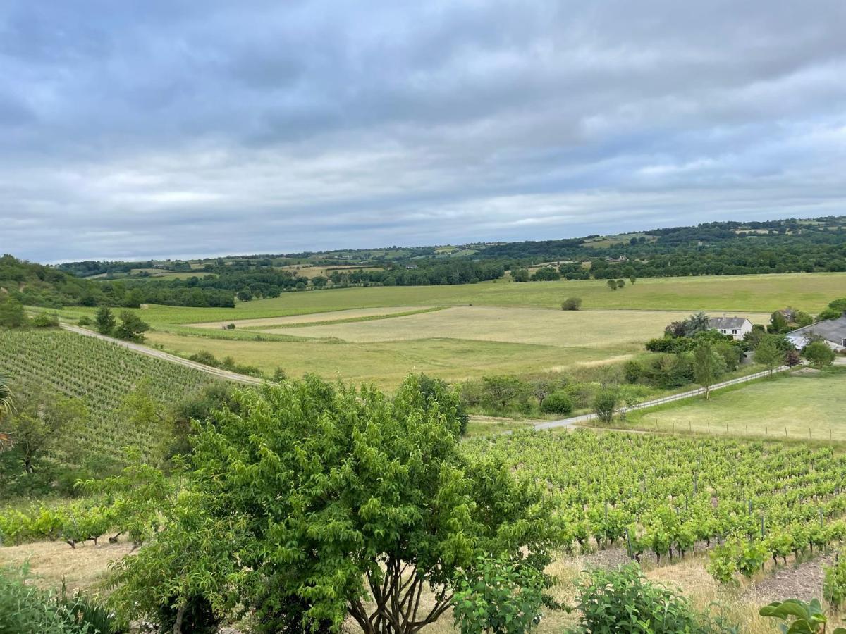 Maison Des Coteaux Blancs Chaudefonds-sur-Layon エクステリア 写真