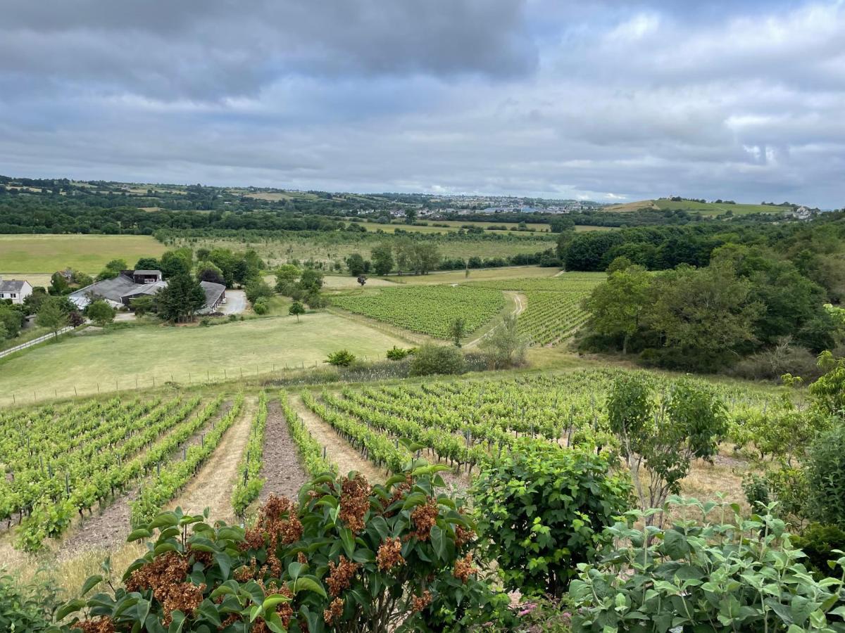 Maison Des Coteaux Blancs Chaudefonds-sur-Layon エクステリア 写真