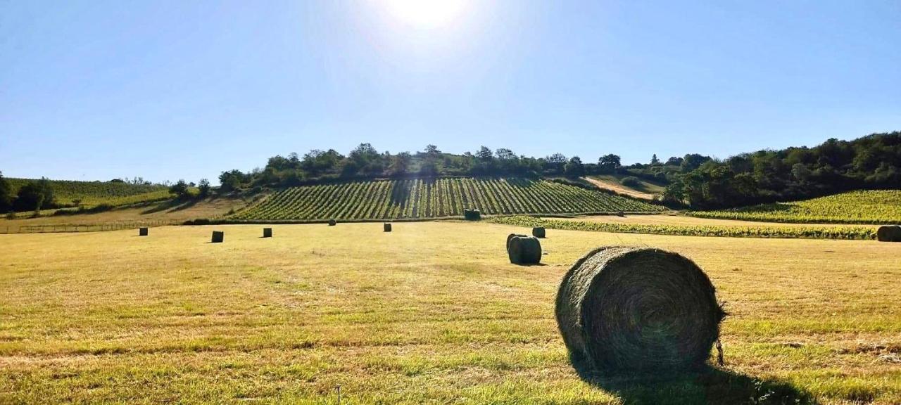 Maison Des Coteaux Blancs Chaudefonds-sur-Layon エクステリア 写真