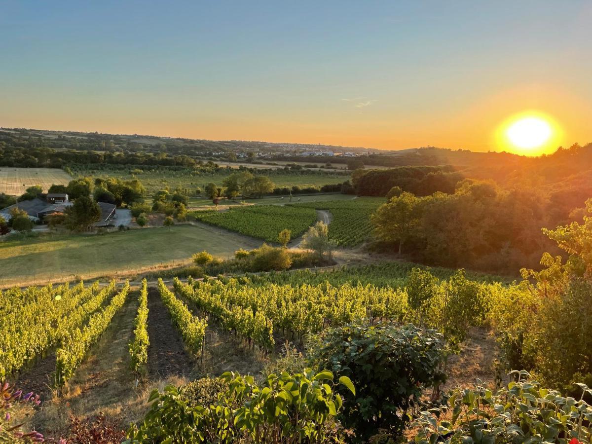 Maison Des Coteaux Blancs Chaudefonds-sur-Layon エクステリア 写真