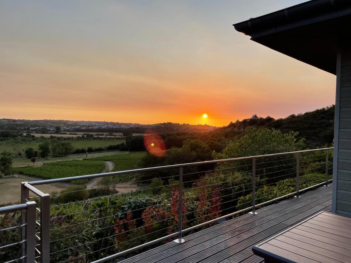 Maison Des Coteaux Blancs Chaudefonds-sur-Layon エクステリア 写真