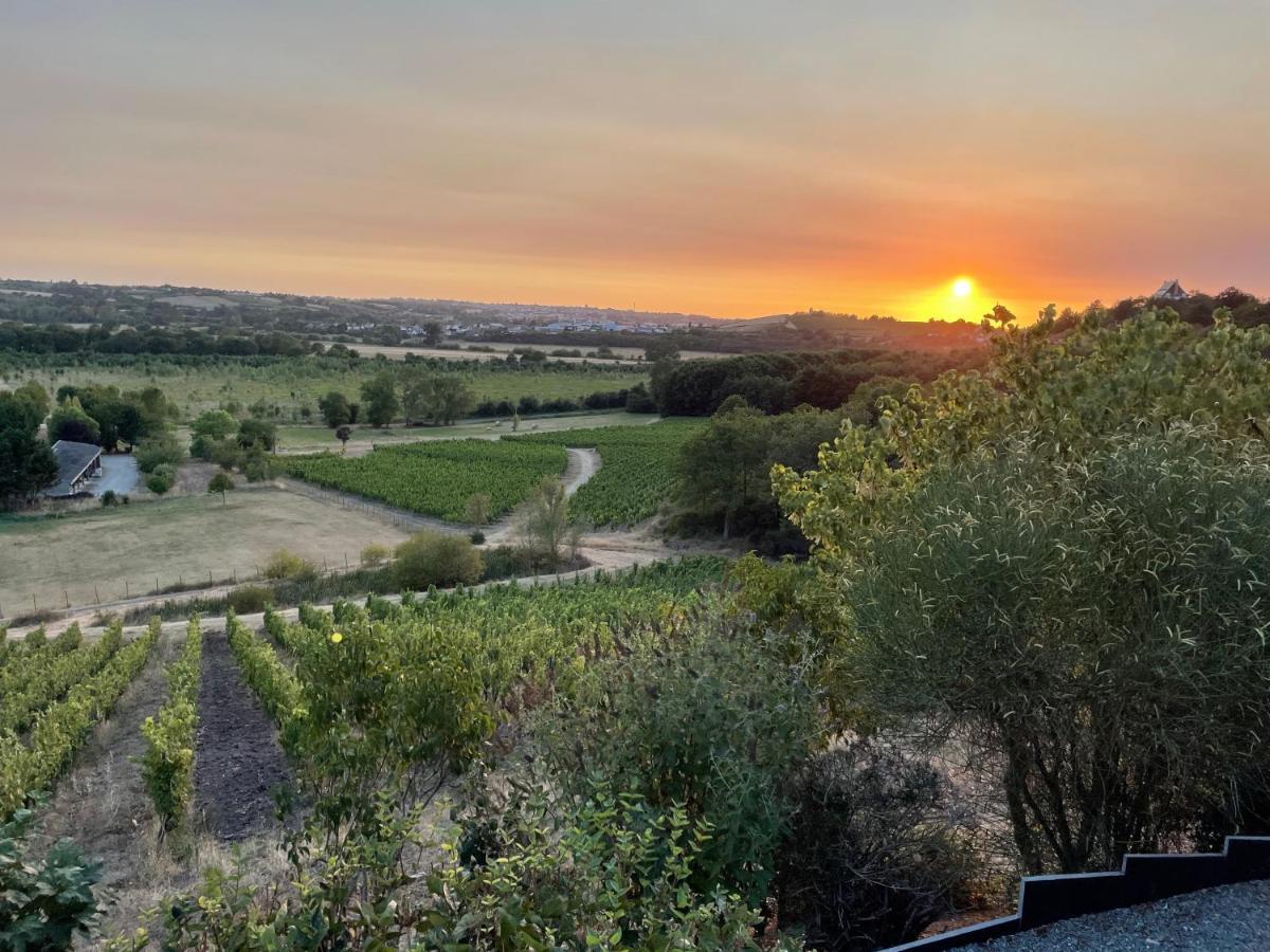 Maison Des Coteaux Blancs Chaudefonds-sur-Layon エクステリア 写真