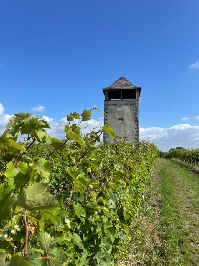 Maison Des Coteaux Blancs Chaudefonds-sur-Layon エクステリア 写真