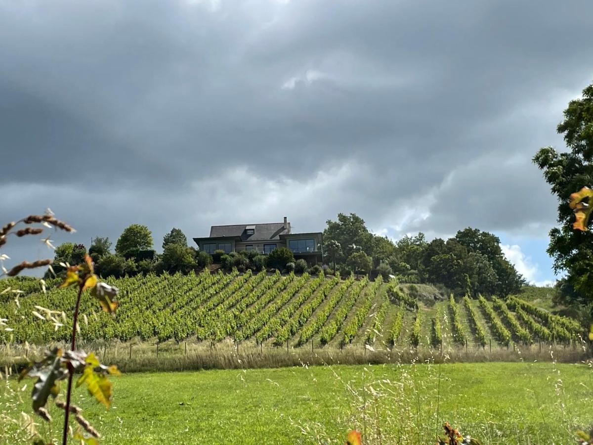 Maison Des Coteaux Blancs Chaudefonds-sur-Layon エクステリア 写真
